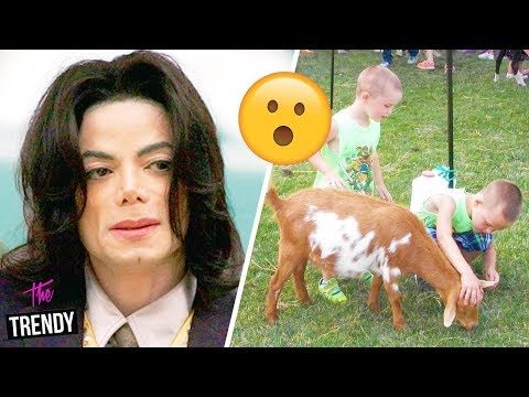 Facts We Never Knew About Michael Jackson's Neverland Ranch