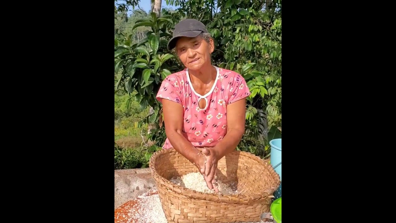 ASI PREPARO EL MAÍZ PARA HACER EL MOROCHO.