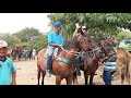 #105.F. de cavalos canafistula frei Damião.  Alagoas. 01.03.2021