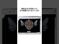 ㊗️33万再生 非があるものは怯える #デスノート #反応集 #夜神月 #deathnote #漫画 #解説 VOICEVOX:ずんだもん
