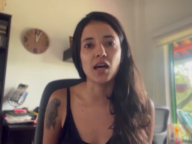 Todos los videos