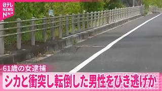 【ひき逃げなどの疑い】61歳の女を逮捕  国道で倒れていた男性死亡  群馬･渋川市
