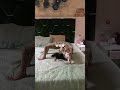 Harseerat’s yoga