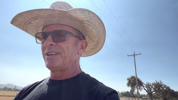 Do you complain about the things you have taught your horse to do?