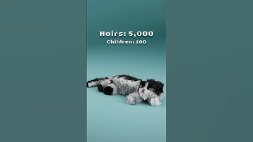 Minecraft Cat Real Life Hair Simulation 500 to 1 MILLION Hairs! #cat