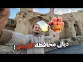 رحلتي الى ديالى اكتشفت انها مشهورة بالرمان رحلتي الى ديالى اكتشفت انها مشهورة بالرمان