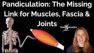 Pandiculation: The Missing Link for Muscles, Fascia & Joints