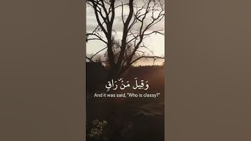 الشيخ #احمد_النفيس سورة القيامة برواية ورش عن نافع