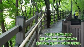 식장산 무장애나눔길 영상