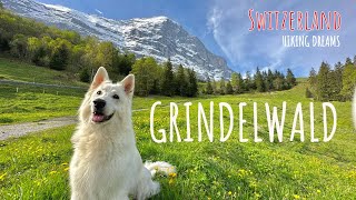 Grindelwald Switzerland - The best nature moments on a hike 4K