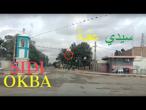      01 سيدي عقبة بسكرة الجزائر