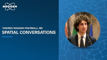 Spotlight on Single Cell Spatial research