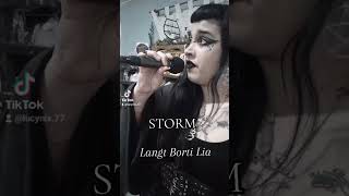 Storm - Langt Borti Lia - Nordavind 1994