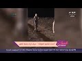مش هتصدقوا اللي هتشوفوه!.. أحدث تقاليع الموضة في عرض أزياء وسط الطين!