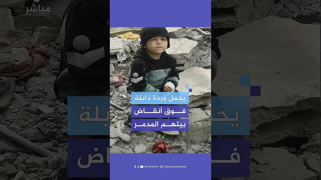 الطفل "كنان" يجلس فوق أنقاض بيته المدمر يحمل وردة ذابلة كما ذبلت أحلامه تحت الحرب