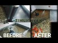 Fish tank cleaning ameging videos !India