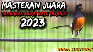 TEMBAKAN MURAI BATU ISIAN MEWAH YANG DISUKAI JURI - MASTERAN MURAI BATU LOMBA