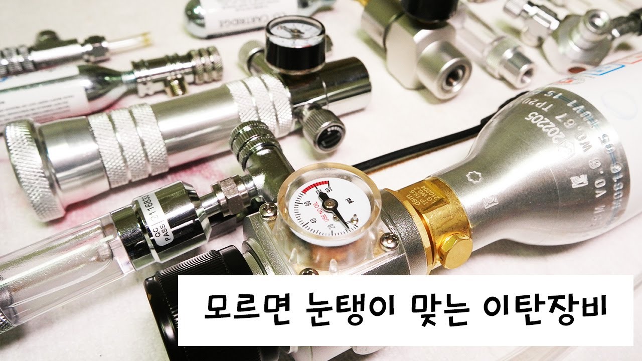 이탄(CO2) 장비 비쌈?ㅋㅋ 물린이도 싸고 아름답게 하는 방법이 있음