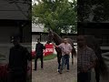 Ocelli at Saratoga
