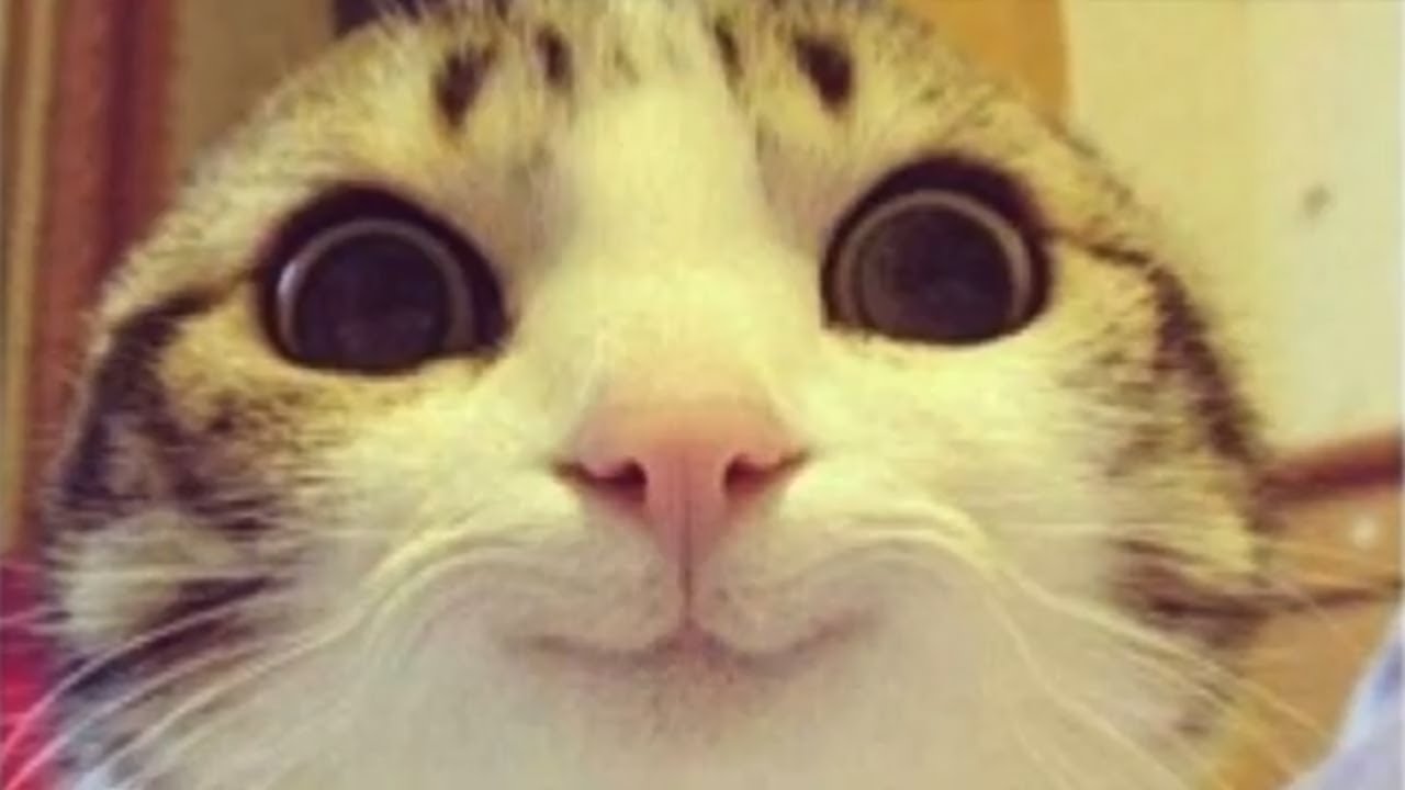 Happy Ahh Beat - "Sunday"