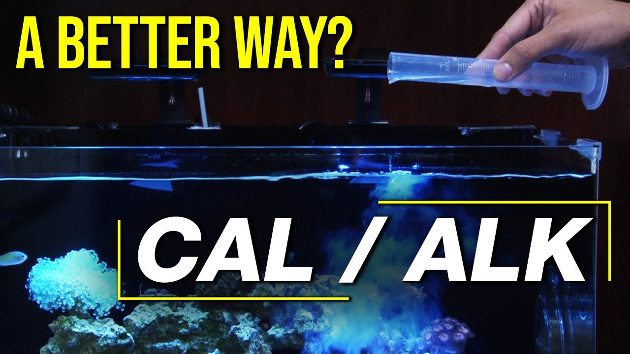 Guaranteed: The Right Calcium & Alkalinity Tool. 2 Part vs. Kalkwasser Slurry vs. Calcium Reactor