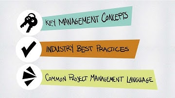 PLANNING AND CONTROL PROCESS | MOTION GRAPHIC VIDEO BY PMAllIANCE