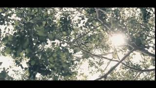 Melody dalam puisi | video COVER