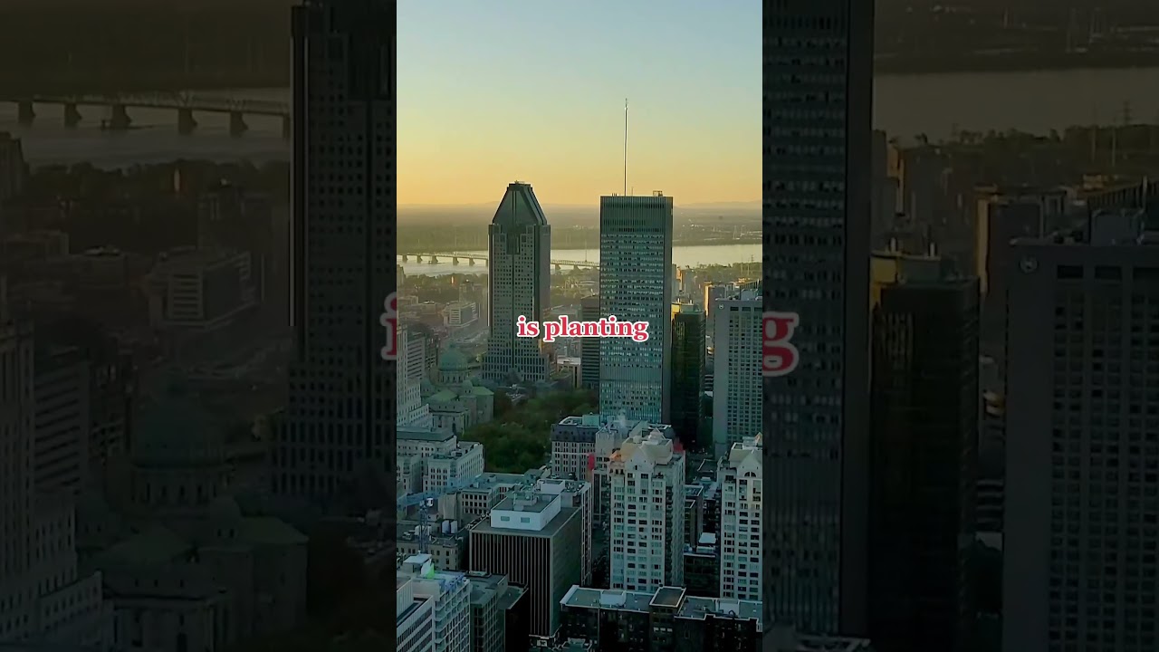 Do you agree that Montréal is the best city in North America 