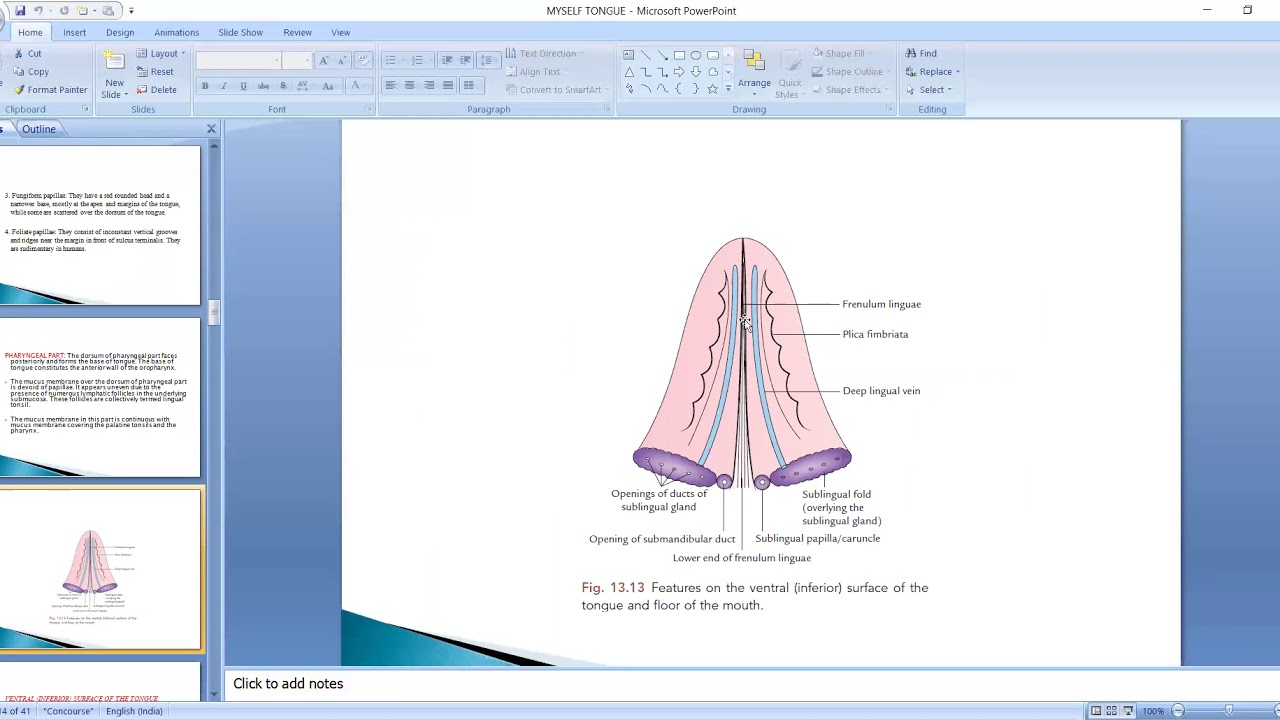 ANATOMY OF TONGUE 1 - YouTube