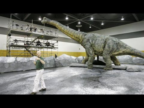 Video: I Paleontologi Russi Hanno Scoperto Una Nuova Specie Di Dinosauri - Visualizzazione Alternativa