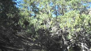 Rough Hollow. Jen Picks Up Game Cam We Film A Double Snap Off