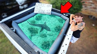 *NEW* TRUCK POOL POND & STOCKING IT WITH FISH! (CHALLENGE)