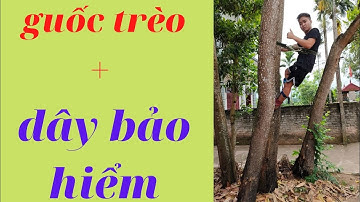 Dụng cụ trèo cây bắt ong rừng,hái lan rừng trên cao