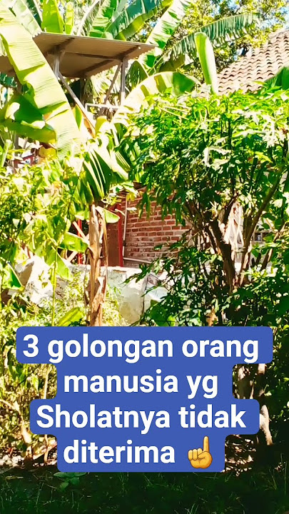 3 golongan orang yg sholatnya tidak diterima #artis #amalankebaikan #beritaterkini #meninggalkanshol