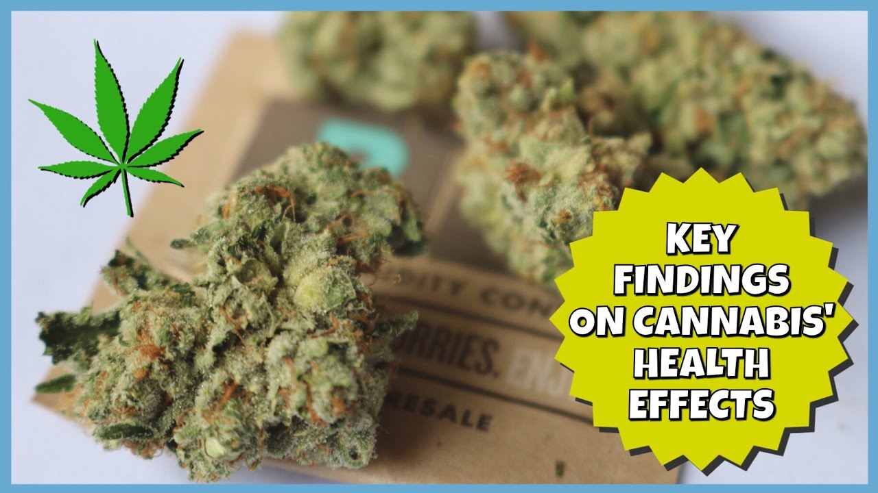 KEY FINDINGS ON CANNABIS' HEALTH EFFECTS | NewsNug recap | CoralReefer