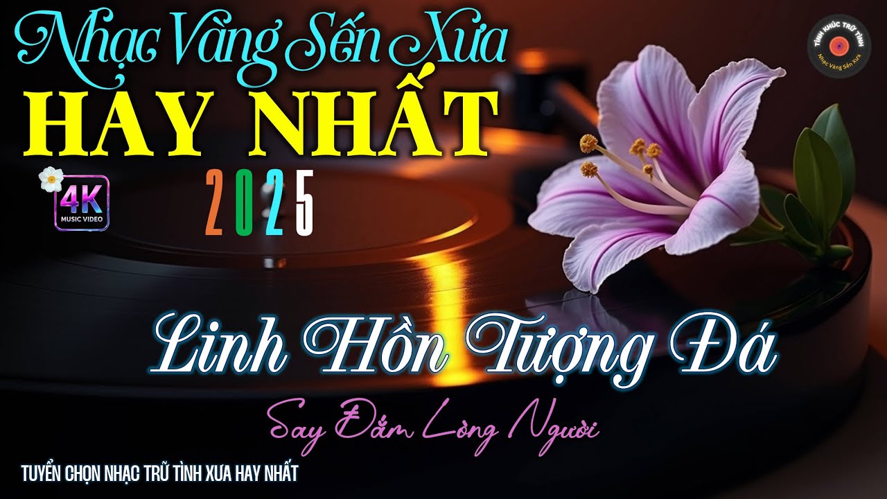 Nhạc TÌNH BOLERO Trữ Tình TOÀN BÀI HAY, ĐỘC LẠ 2025 - Nhạc Vàng Sến Xưa DỄ NGHE, XOA DỊU TÂM HỒN