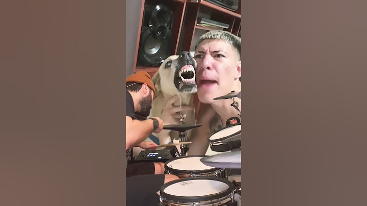 The Return of the Metal Dog