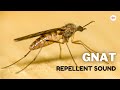 Gnat Repellent Sound Gnat Repellent Sound