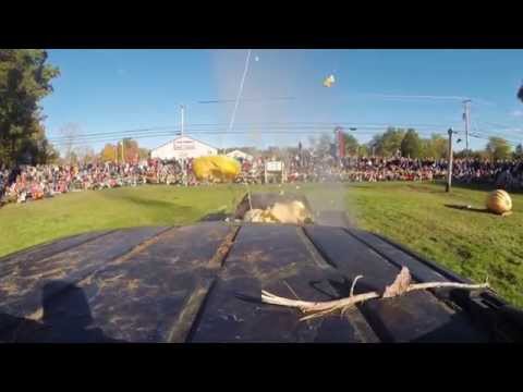 Damariscotta Pumpkinfest &