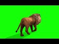 Gambar cover free green screen, animals, lion, chroma key, 3d animation, 4K, hd