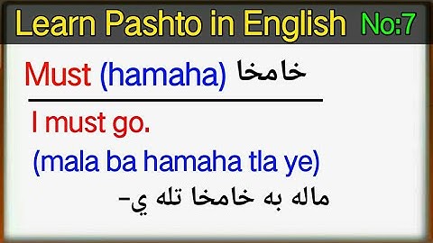 English to Pashto sentences with words lesson 7 | learn pashto language | learn Pashto in English