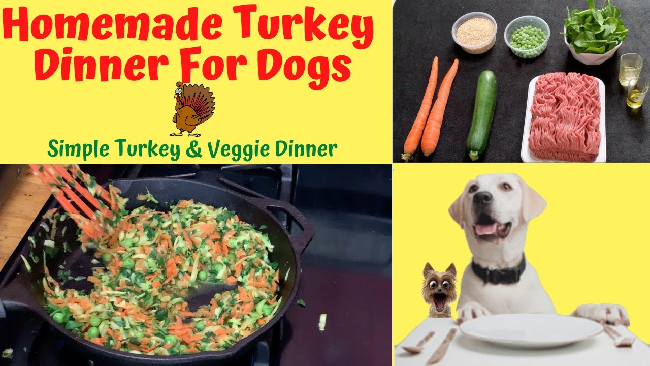 Thanksgiving halftime show seahawks