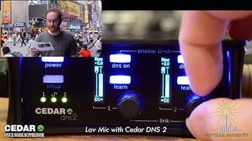 Crowd Lav with Cedar Reworked