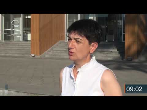 ნინო ვიბლიანის კომენტარი