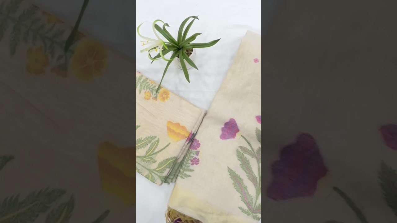 Premium soft Muga Cotton Saree