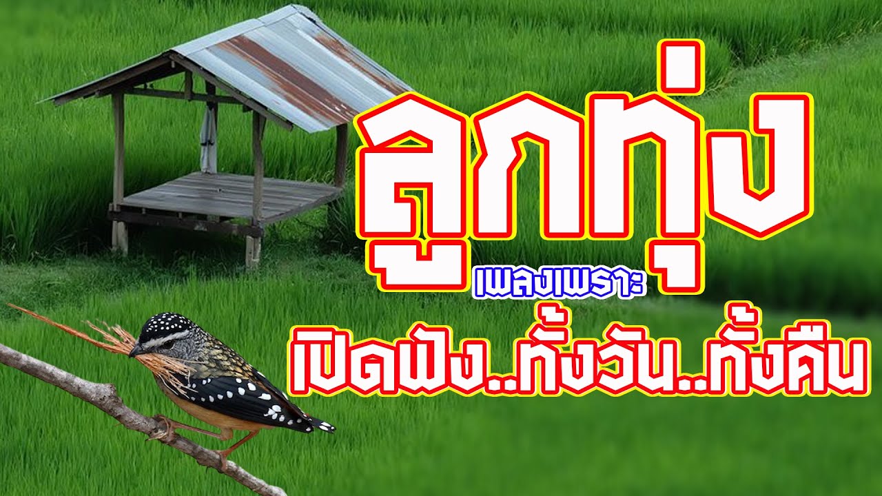 รวมเพลงลูกทุ่งเพลงเพราะฟังได้ตลอดเวลา