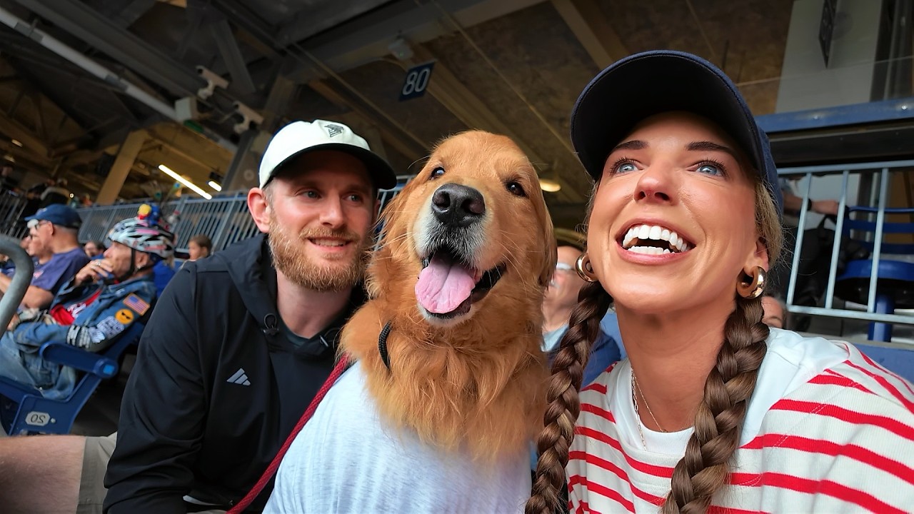 We Took Our Dog to His First Baseball Game and He Loved It - YouTube