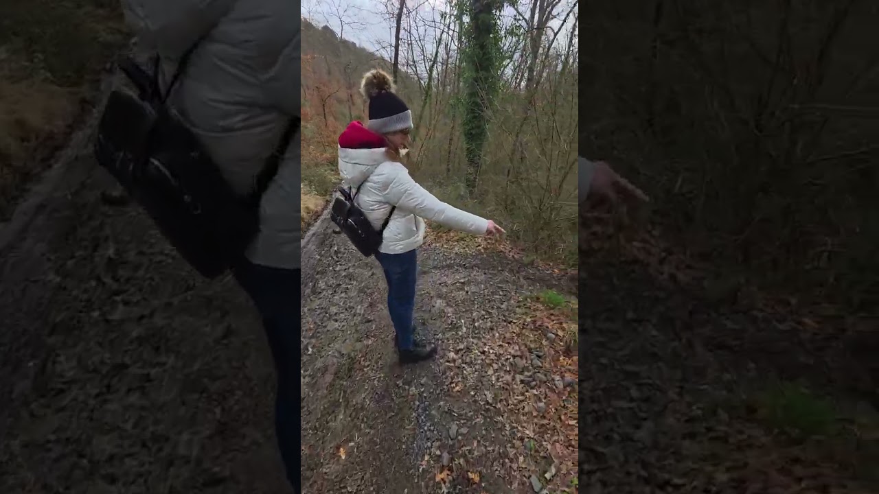 Parco di turona francigena bolzena montefessne