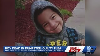 Famous Milwaukee man pleads guilty in 2023 death of 5-year-old Prince McCree Profile