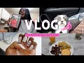 Vlog : New Camera, Meet My Puppy! Cook With Me, Nails, New Books